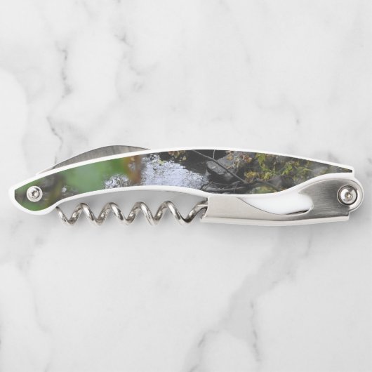 Betoveringen van de aarde kurkentrekker (Achterkant)