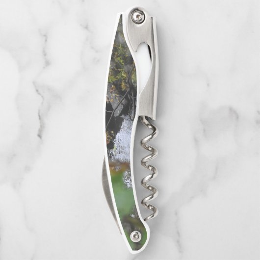 Betoveringen van de aarde kurkentrekker (Achterkant)