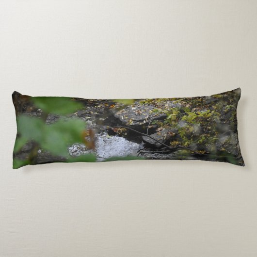 Betoveringen van de aarde lichaamskussen (Achterkant)