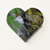 Betoveringen van de aarde notitieboek (Achterkant)