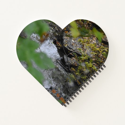 Betoveringen van de aarde notitieboek (Achterkant)