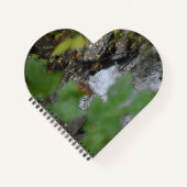 Betoveringen van de aarde notitieboek (Voorkant)