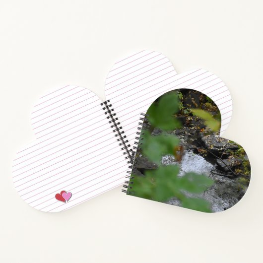 Betoveringen van de aarde notitieboek (Binnen)