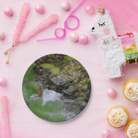 Betoveringen van de aarde papieren bordje (Feest)