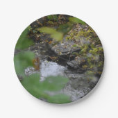 Betoveringen van de aarde papieren bordje (Voorkant)