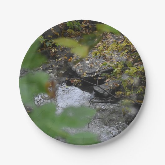 Betoveringen van de aarde papieren bordje (Voorkant)