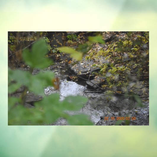 Betoveringen van de aarde raamsticker (Vel 3)