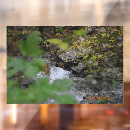 Betoveringen van de aarde raamsticker (Vel 2)