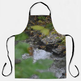 Betoveringen van de aarde schort