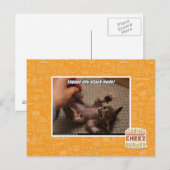 Betrek de kleine aanvalsmodus! briefkaart (Voorkant / Achterkant)