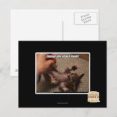 Betrek de kleine aanvalsmodus! briefkaart (Voorkant / Achterkant)