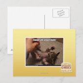 Betrek de kleine aanvalsmodus! briefkaart (Voorkant / Achterkant)