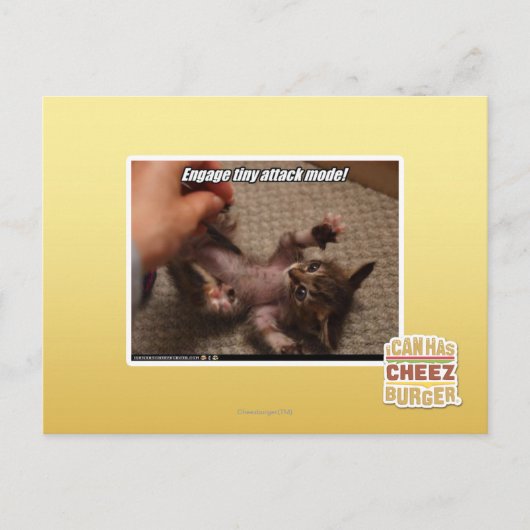 Betrek de kleine aanvalsmodus! briefkaart (Voorkant)