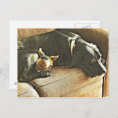 betreurt briefkaart (Voorkant / Achterkant)