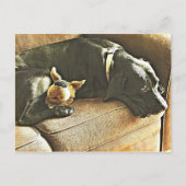 betreurt briefkaart (Voorkant)