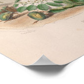 Betrokken bloemen — Roos Poster (Hoek)