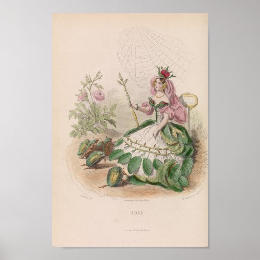 Betrokken bloemen — Roos Poster (Voorkant)