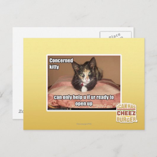 Betrokken Kat Briefkaart (Voorkant / Achterkant)