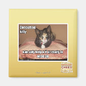 Betrokken Kat Magneet (Voorkant)