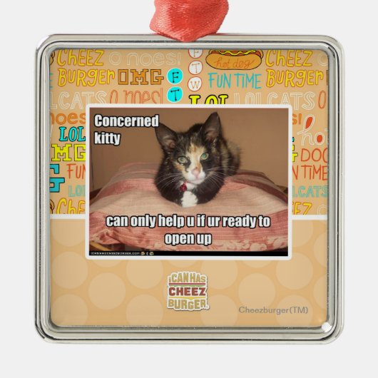 Betrokken Kat Metalen Ornament (Voorkant)