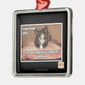 Betrokken Kat Metalen Ornament (Links)