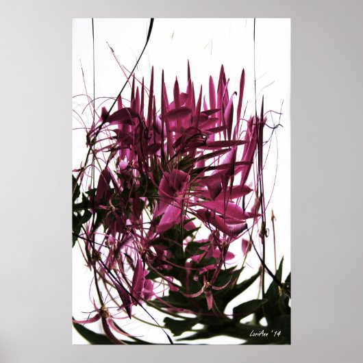 Betrouwbaar Poster (Voorkant)