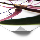 Betrouwbaar Poster (Hoek)