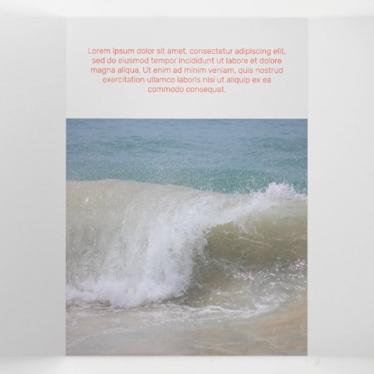 Betrouwbaar Red Corporate Drieluik Kaart (Binnenkant midden)