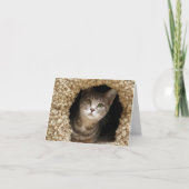 Betsy Ross Bedankkaart (Voorkant)