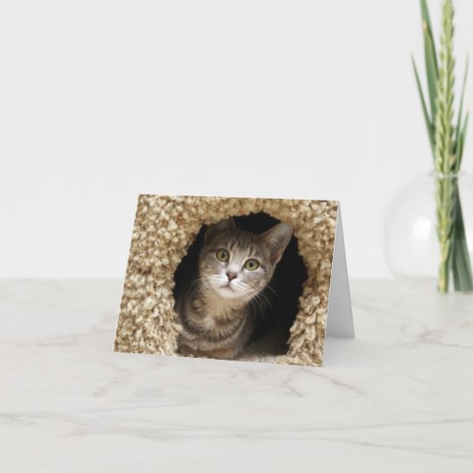 Betsy Ross Bedankkaart (Voorkant)