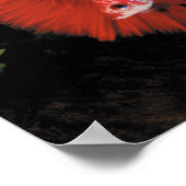 Bettaの ポ タ ー poster (Hoek)