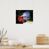 Bettaの ポ タ ー poster (Keuken)