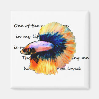 betta(闘 魚)マ ネ ッ ト magneet