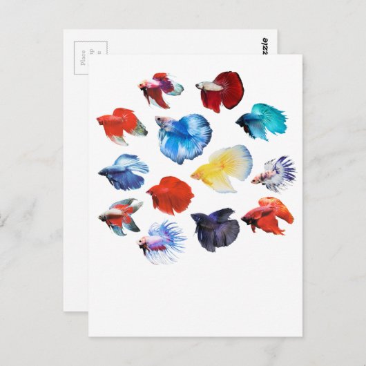 Betta 2 briefkaart (Voorkant / Achterkant)