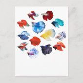 Betta 2 briefkaart (Voorkant)