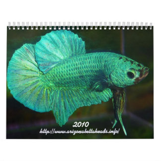Betta Agenda 2010 Kalender