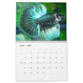 Betta Agenda 2010 Kalender (Mar 2027)