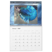 Betta Agenda 2010 Kalender (Jan 2027)