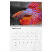 Betta Agenda 2010 Kalender (Feb 2027)