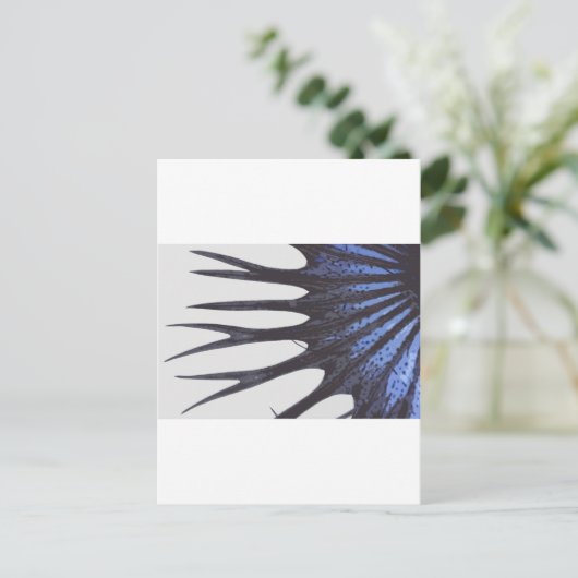 Betta crowntail briefkaart (Staand voorkant)