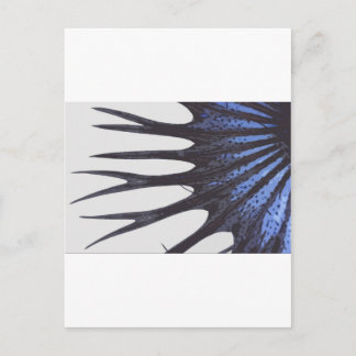 Betta crowntail briefkaart