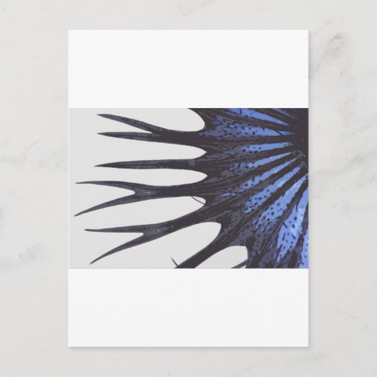 Betta crowntail briefkaart (Voorkant)