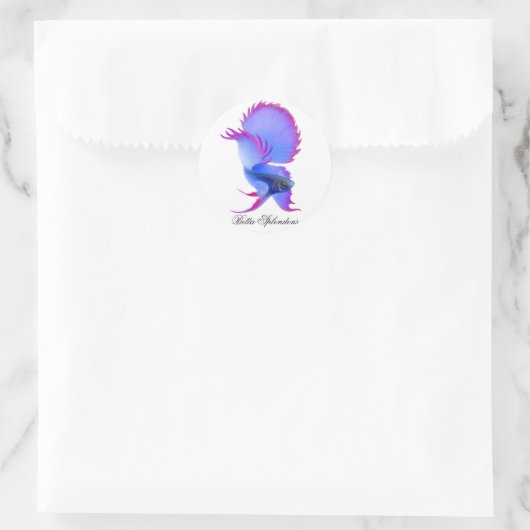 Betta Fighting Fish Sticker (Tas)
