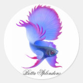 Betta Fighting Fish Sticker (Voorkant)