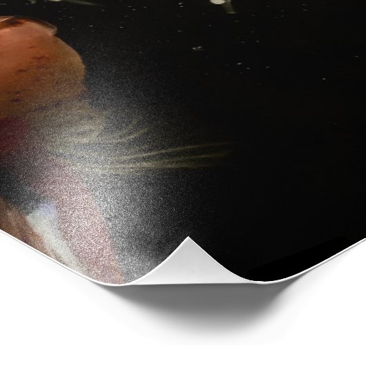 Betta Fish Babies Foto Afdruk (Hoek)