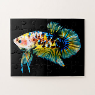Betta Fish Blue en Gold Legpuzzel