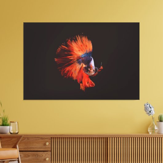 Betta Fish Canvas Afdruk (Insitu (Woonkamer))