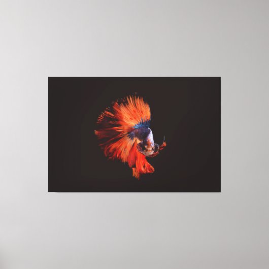 Betta Fish Canvas Afdruk (Voorkant)