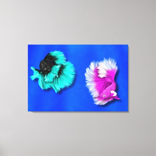 Betta Fish Duo, zwart & blauwgroen, wit en roze Canvas Afdruk (Voorkant)