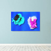 Betta Fish Duo, zwart & blauwgroen, wit en roze Canvas Afdruk (Insitu (Houten vloer))